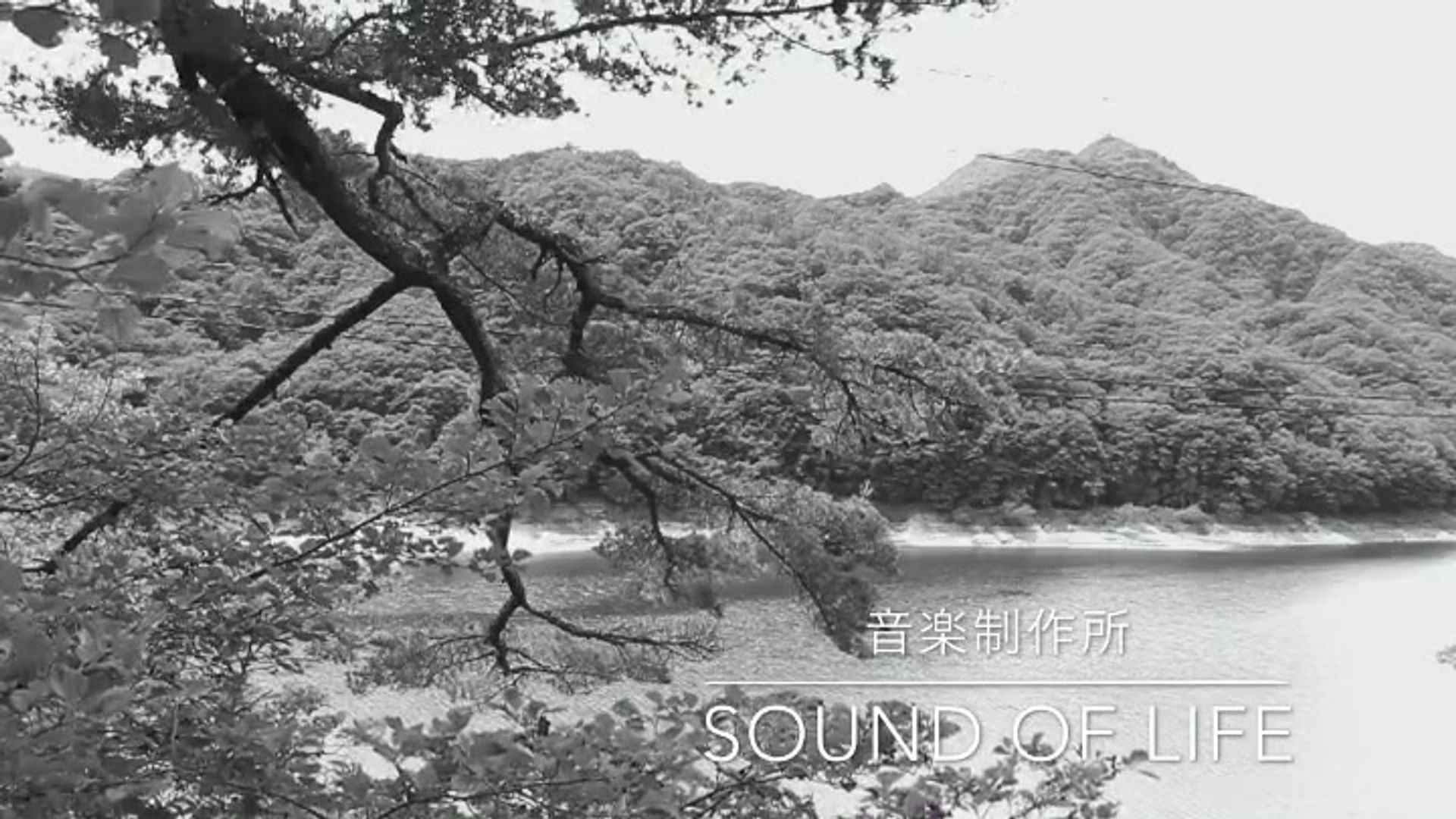 Sound Of Scene's